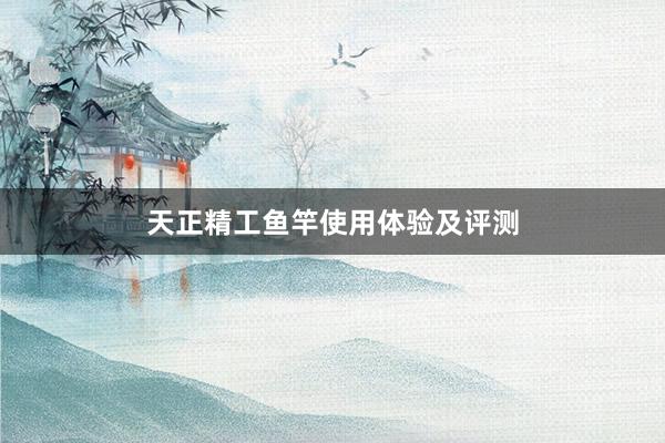 天正精工鱼竿使用体验及评测